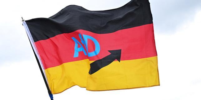 Pourquoi l’extrême droite pourrait gouverner la Saxe-Anhalt : ce qu’il faut savoir avant les élections du 6 septembre