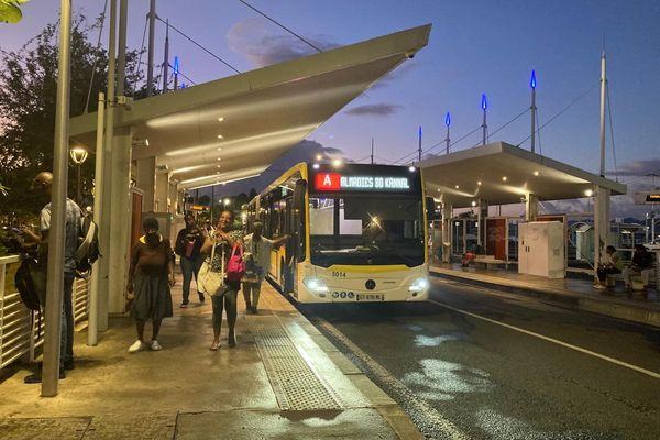 Transports en Martinique : des usagers à bout, des transporteurs toujours à l’arrêt
